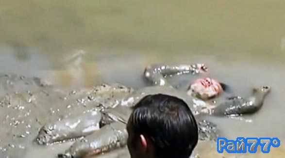 Заснувший в болоте мертвецки пьяный перуанец шокировал полицейских своим пробуждением (Видео)