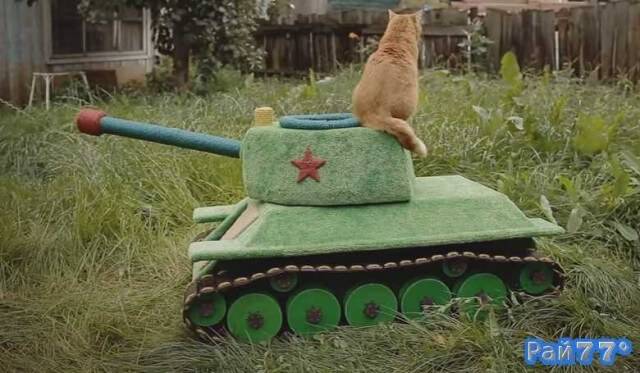 Иван Верясов, инженер из Новосибирска «заинтриговал» ведущие, британские интернет издания своим творением, домиком-танком для кота.